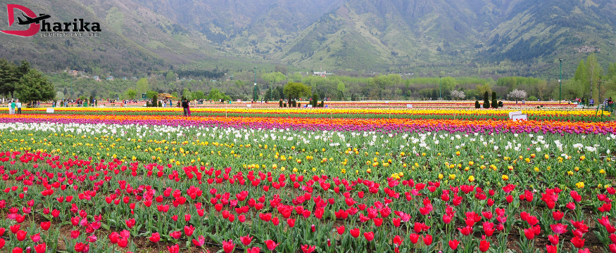 Batu Caves in Malaysia